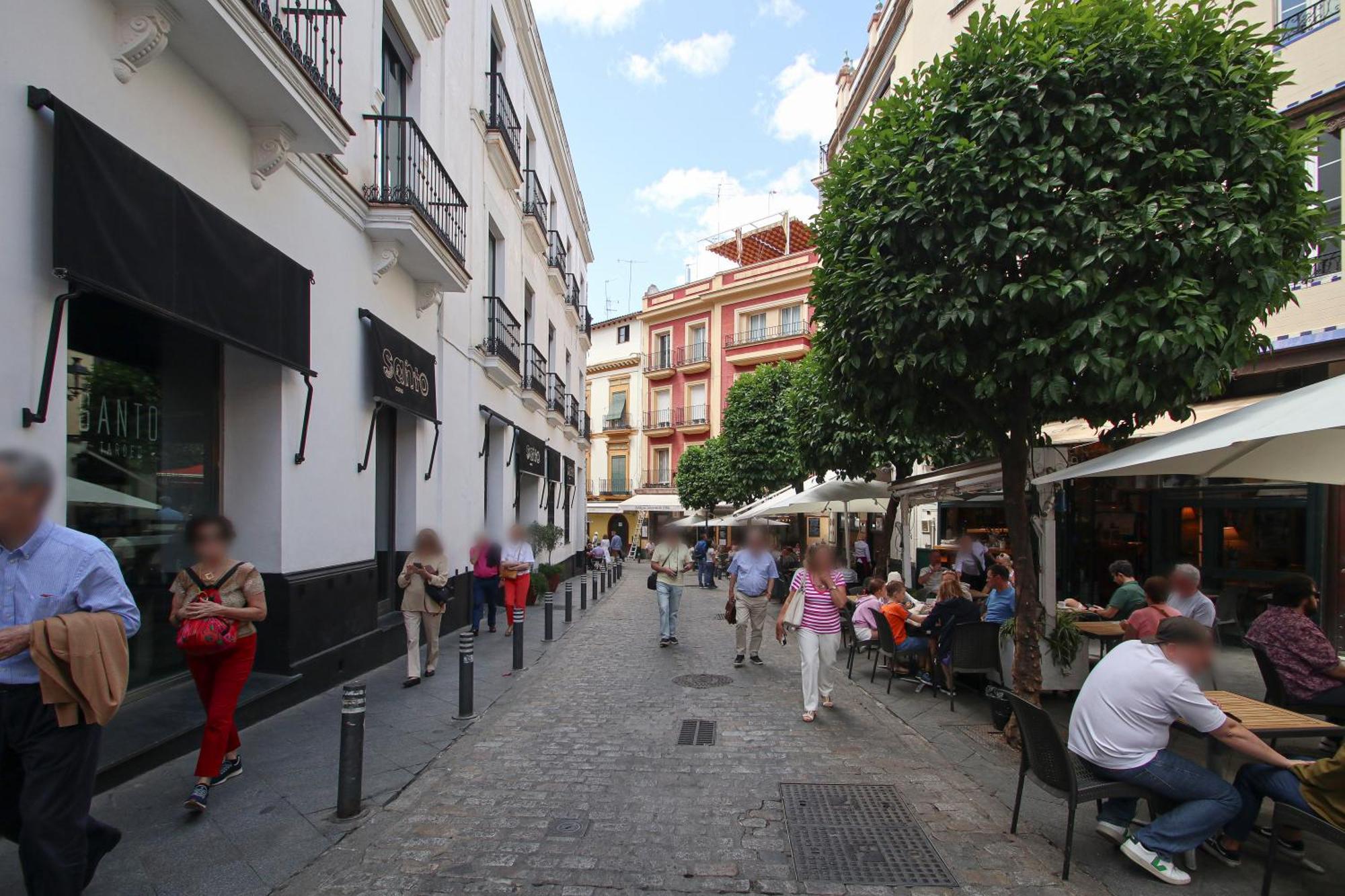 Apartamento New! Luxurious & Chic Duplex Next To The Cathedral Sevilha